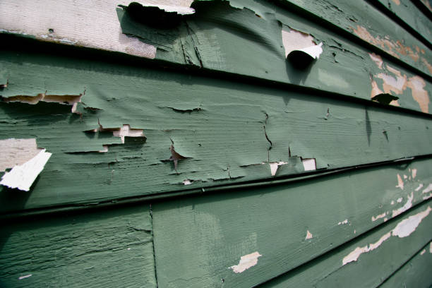 Best Brick Veneer Siding  in Brentwood, CA