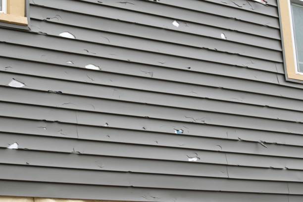 Best Historical Building Siding Restoration  in Brentwood, CA